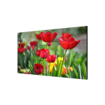 Monitor Profesional Hikvision DS-D2049LU-Y 49" FHD para Videowalls, Serie Pro